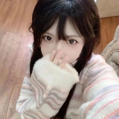 鸽之翼