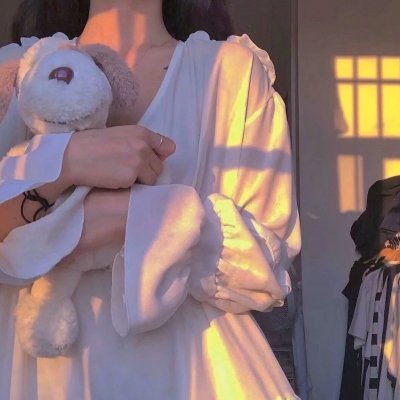 莱芬斯坦:影像的背叛