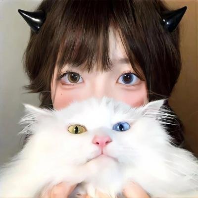 小鸟总动员